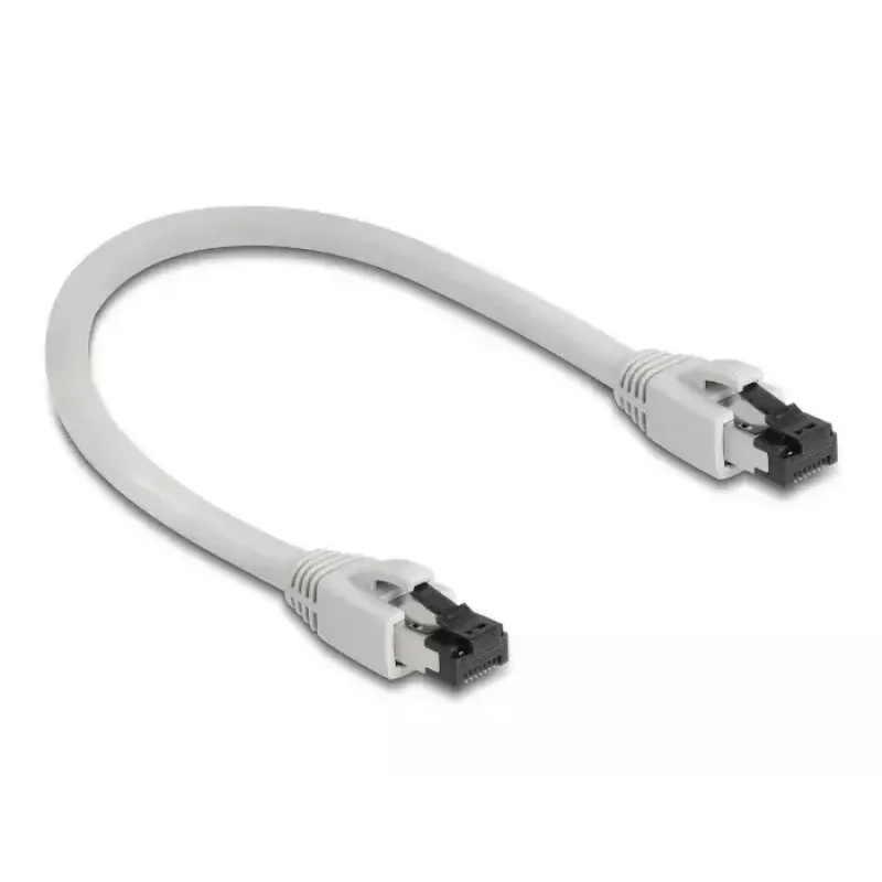 Netzwerkkabel DeLOCK 80556 RJ-45 Cat8.1 0,25 m Grau