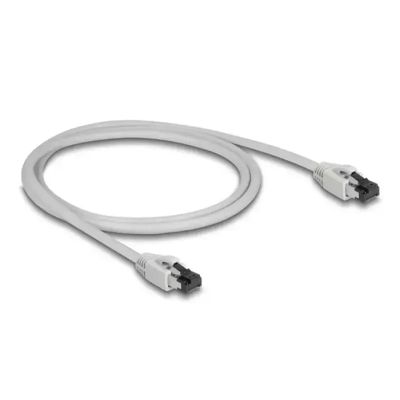 Netzwerkkabel DeLOCK 80558 RJ-45 Cat8.1 1 m Grau