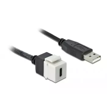 Keystone-Modul DeLOCK 86382 Flach Schwarz Weiß USB C