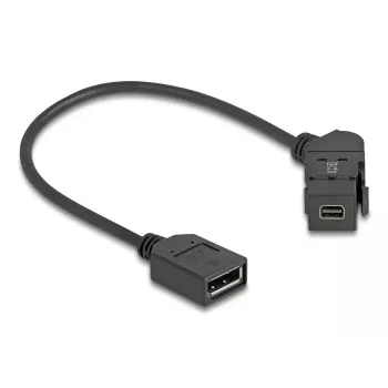 DeLOCK 67155 Kabel Gender Changer Mini DisplayPort DisplayPort Schwarz 0,3 m