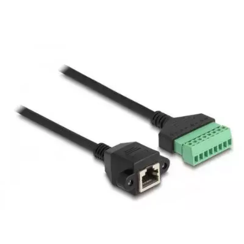 DeLOCK RJ45-Kabel Cat.6 Buchse auf Klemmleisten-Adapter 2m