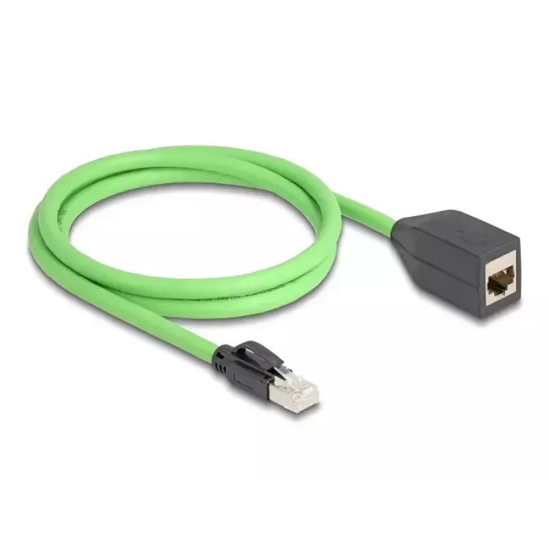 Netzwerkkabel DeLOCK 80880 RJ-45 Cat6a 1 m Grün