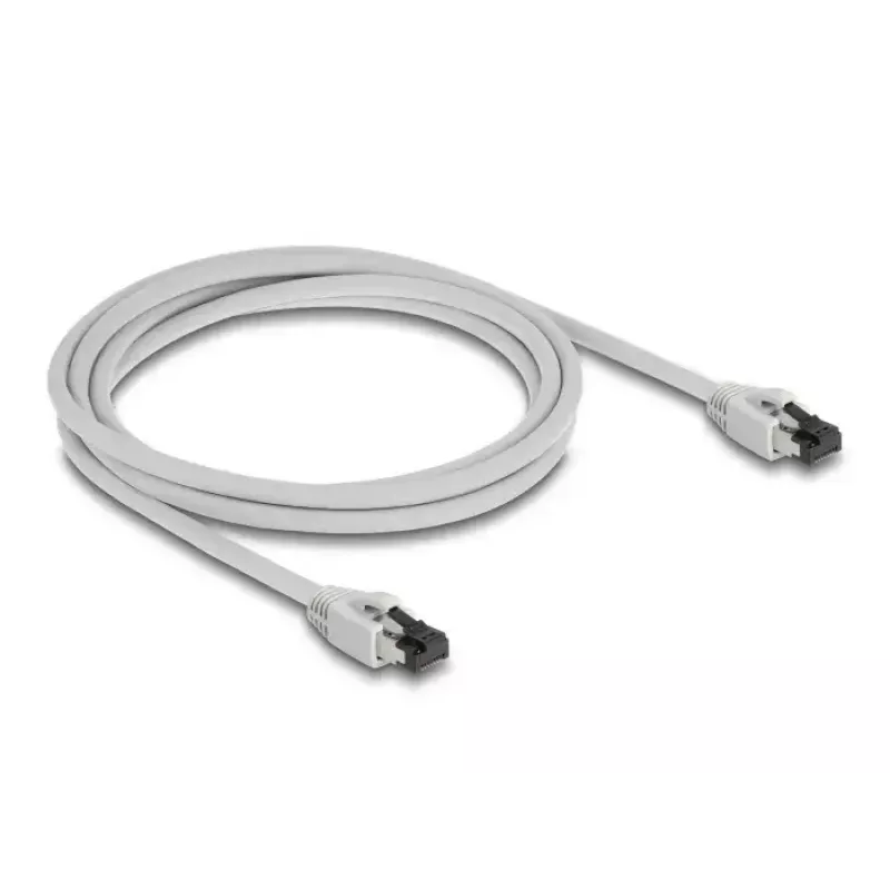 Networking Kabel DeLOCK 80560 RJ-45 Cat8.1 2m Grau