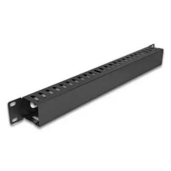 Kabelmanagement-Panel DELOCK 19 Zoll 1U Metall, 2 Öffnungen, schwarz