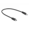 DeLOCK 85403 Stromkabel Schwarz 0,27 m USB-C DC