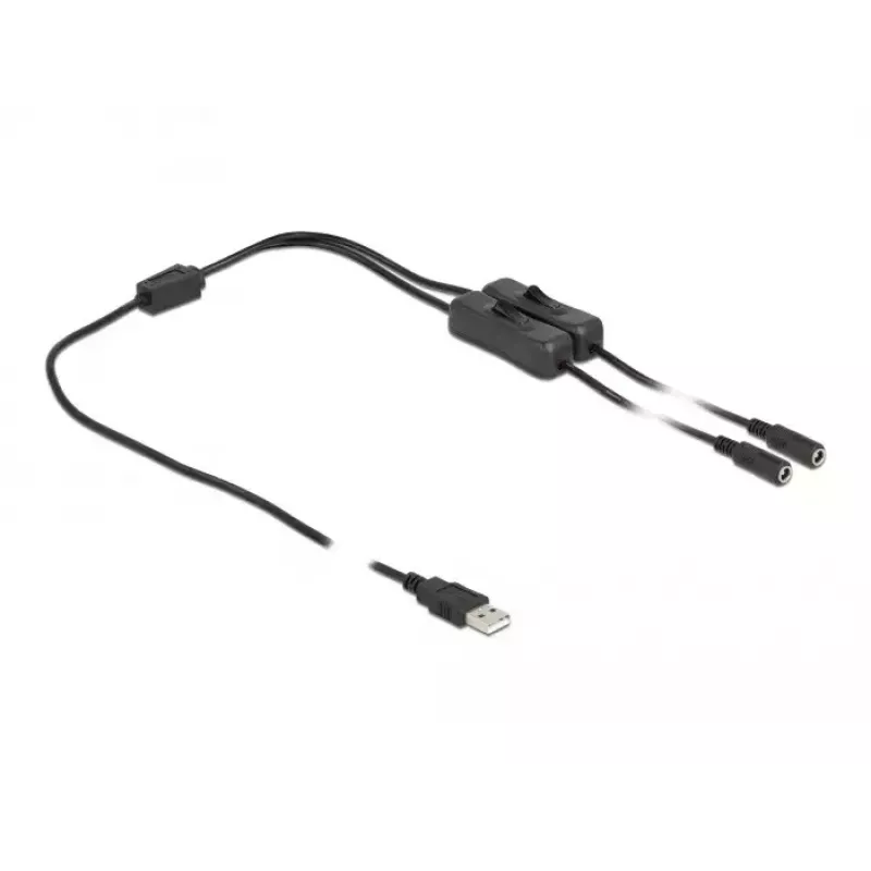 USB Typ-A Stecker auf 2 x DC 5,5 x 2,1 mm Buchse mit Schalter 1 m DeLOCK 86797