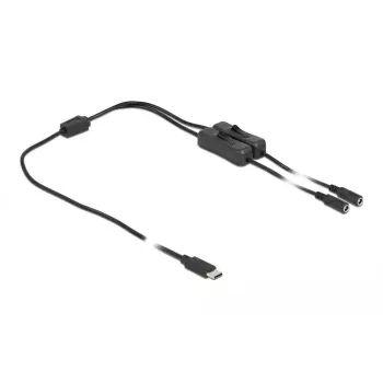 Kabel USB Type-C Stecker auf 2 x DC 5,5 x 2,1 mm Buchse mit Schalter DeLOCK 86800
