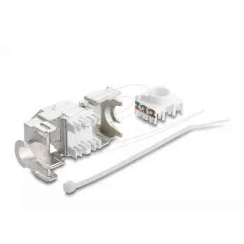 Keystone-Modul DELOCK 90938 – RJ-45 Cat.6A geschirmt flach, weiß