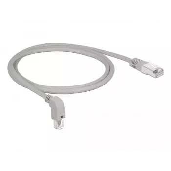 Netzwerkkabel DeLOCK 85874 RJ-45 Cat6a 1 m Grau