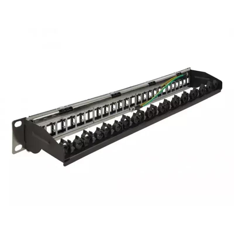 Patch Panel DeLOCK 19 Zoll 24 Port mit Kabelführungsschiene
