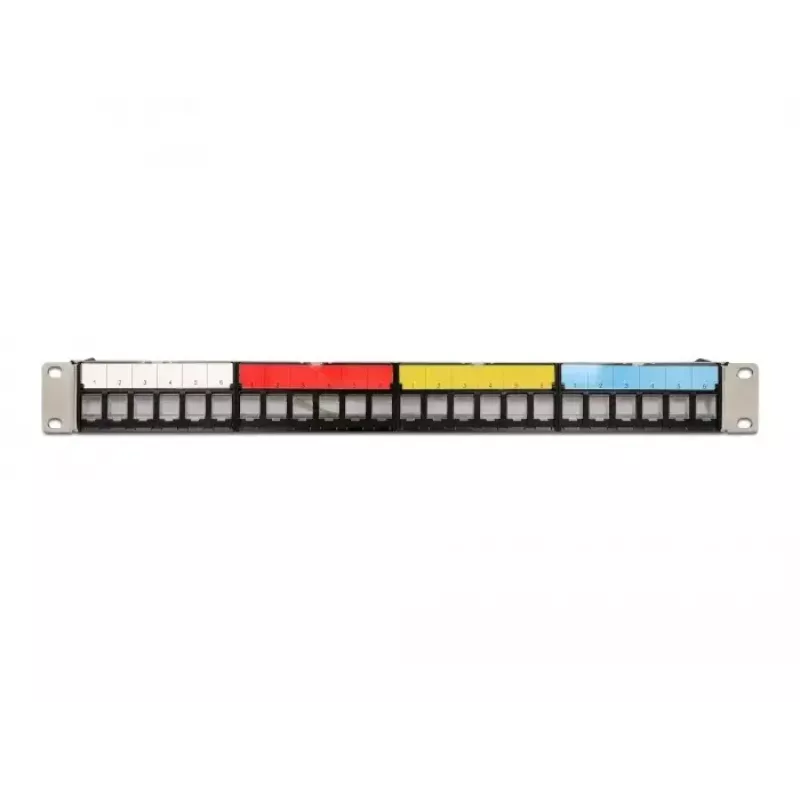 Patch Panel DeLOCK 19 Zoll 24 Port mit Kabelführungsschiene
