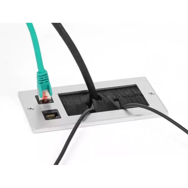 DeLOCK Kabeleinführung mit Bürste und 2 x RJ45 Keystone-Modul Cat.6 Aluminium