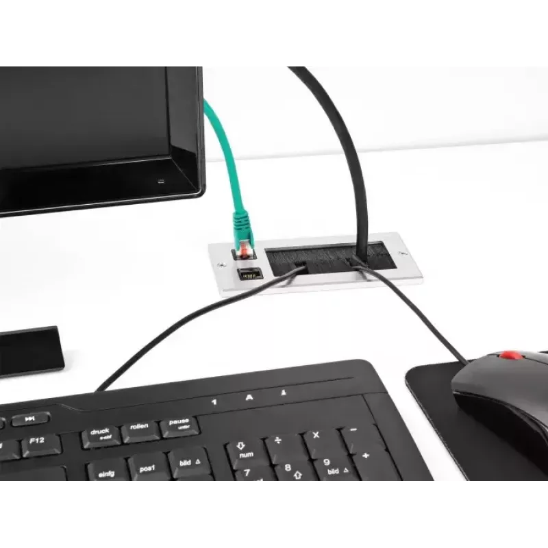 DeLOCK Kabeleinführung mit Bürste und 2 x RJ45 Keystone-Modul Cat.6 Aluminium