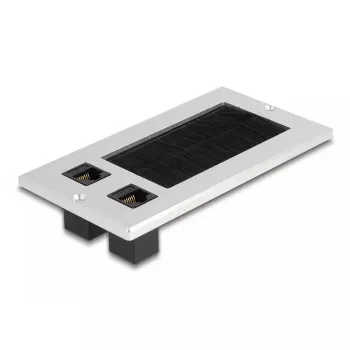 DeLOCK Kabeleinführung mit Bürste und 2 x RJ45 Keystone-Modul Cat.6 Aluminium