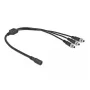 DC-Splitterkabel DeLOCK 86572 5,5 x 2,1 mm 1 x Buchse auf 3 x Stecker