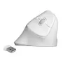 Maus DeLOCK 12596 Office Rechtshänder RF Wireless 1600 DPI