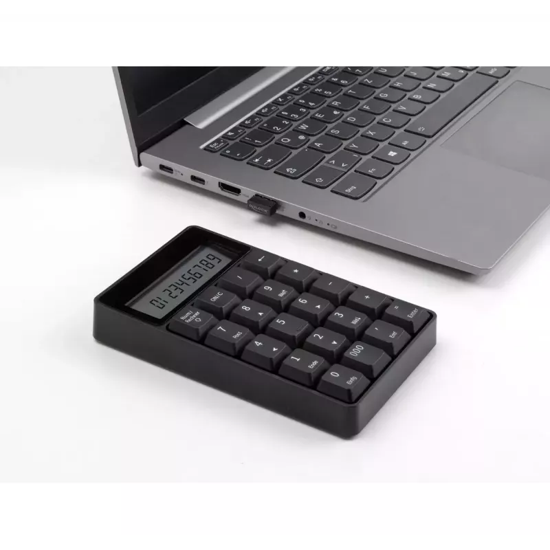 Numerische Tastatur DeLOCK 12113 USB Schwarz 20 Tasten Universal