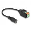 DeLOCK DC 2,1 x 5,5 mm Klinke auf 2-poligen Klemmblock Adapter 15 cm