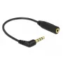 Audiokabel DeLOCK 0,175 m 3,5 mm/2,5 mm Schwarz