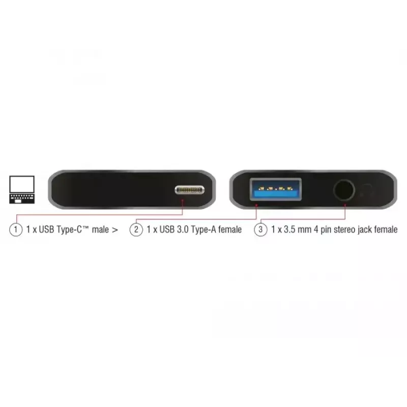 Laptop Dock DeLOCK 63965 Anthrazit