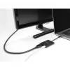 DeLOCK USB Type-C Adapter zu DisplayPort 8K HDR Power Delivery 60W
