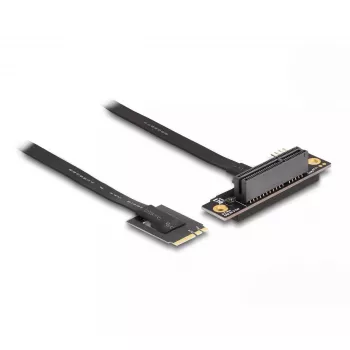 DeLOCK M.2 Key A+E auf PCIe x4 NVMe-Adapter gewinkelt mit 20 cm Kabel