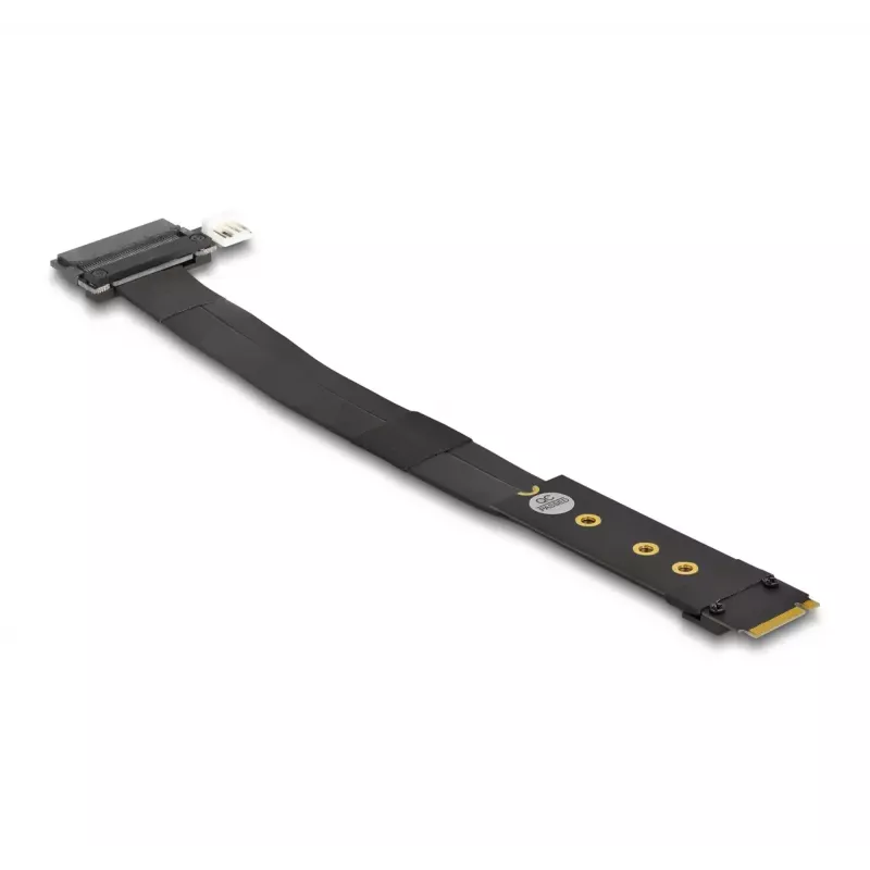 DeLOCK M.2 Key M auf U.2 SFF-8639 NVMe-Adapter mit 20 cm Kabel