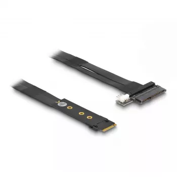 DeLOCK M.2 Key M auf U.2 SFF-8639 NVMe-Adapter mit 20 cm Kabel