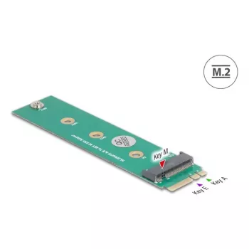DeLOCK Interner M.2-Adapter 64343 Host M.2 Stecker Grün