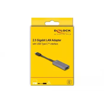 DeLOCK 66248 Kabel-Adapter RJ-45 USB C Grau 0,09m