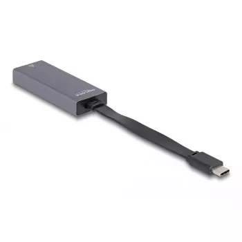 DeLOCK 66248 Kabel-Adapter RJ-45 USB C Grau 0,09m