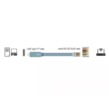 Serielles Kabel DeLOCK 89892 USB 2.0 Typ-A RJ45 Grau 5 m
