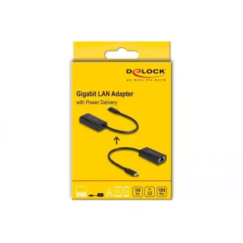 DeLOCK 61026 Kabel-Gender-Changer USB-C auf RJ45 Schwarz