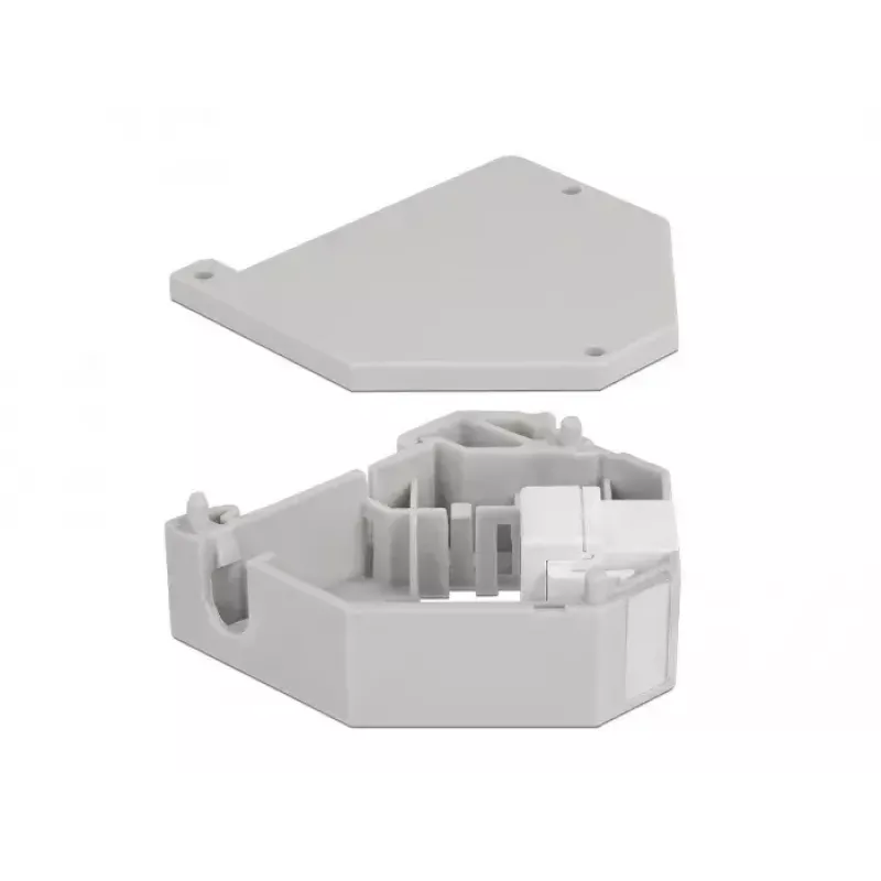 Keystone-Modul DELOCK 87163 — USB A auf USB A, grau/weiß, 60,1×59,4×21,6 mm