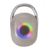 Techly ICASBL321GR tragbarer/Party-Lautsprecher Mono tragbarer Lautsprecher Grau 5 W