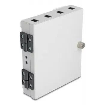 DELOCK Glasfaser-Wandgehäuse 4× SC Simplex oder LC Duplex Adapter, Metallgehäuse, grau