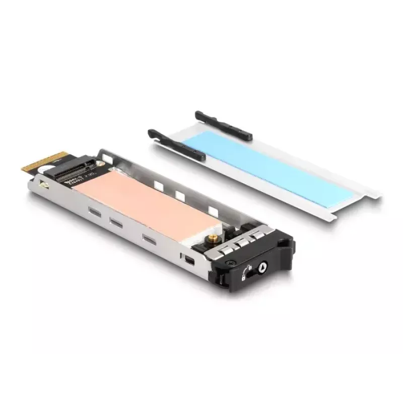 DeLOCK Mobile Rack PCI Express Card für 1 x M.2 NVMe SSD Low Profile