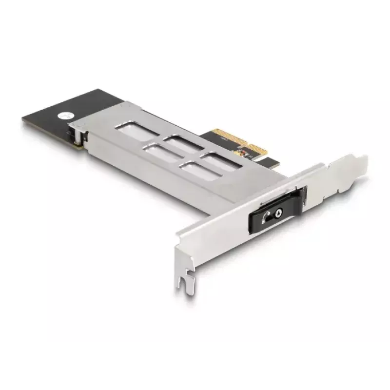 DeLOCK Mobile Rack PCI Express Card für 1 x M.2 NVMe SSD Low Profile