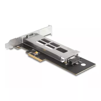 DeLOCK Mobile Rack PCI Express Card für 1 x M.2 NVMe SSD Low Profile