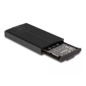 SSD-Gehäuse DeLOCK 42022 Externes Gehäuse USB 20 Gbps für 2 x M.2 NVMe PCIe SSD