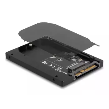 SSD-Gehäuse DeLOCK 63379 Schwarz M.2 1 Laufwerksunterstützung