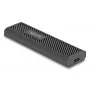 SSD-Gehäuse DeLOCK 42031 Schwarz M.2 PCIe SATA 20 Gbit/s