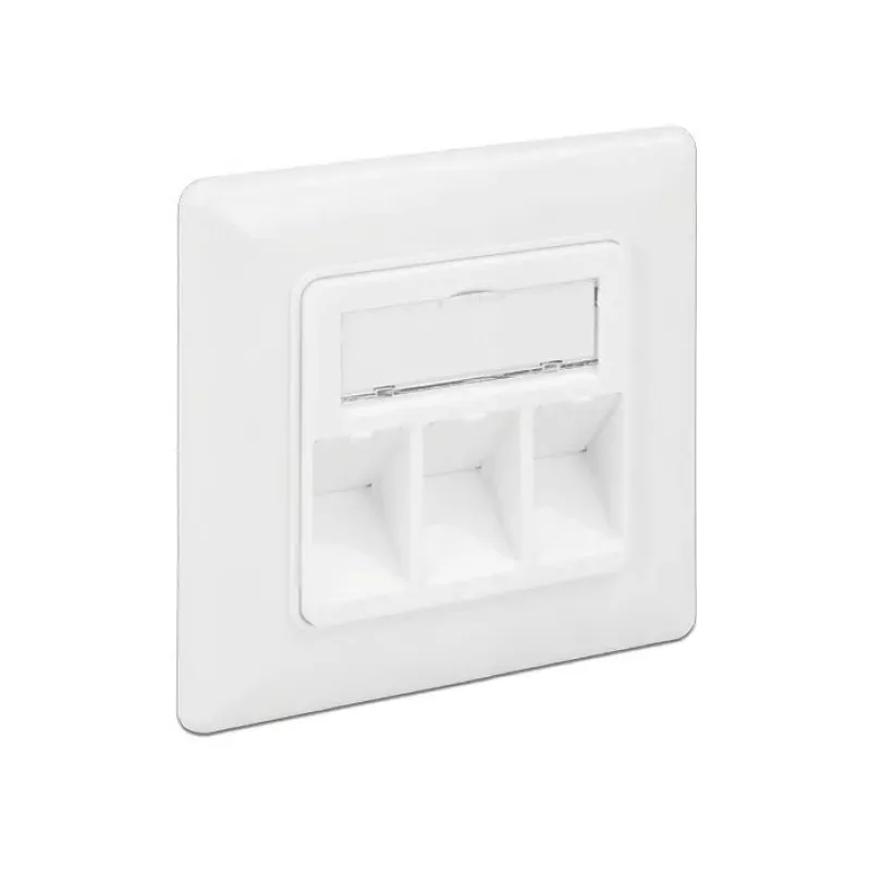 Socket Outlet RJ-45 DeLOCK 86194 Silber Weiß