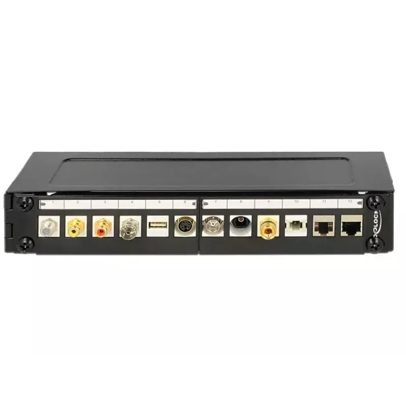 Wandmontierter Rack DeLOCK 43303 1U Schwarz