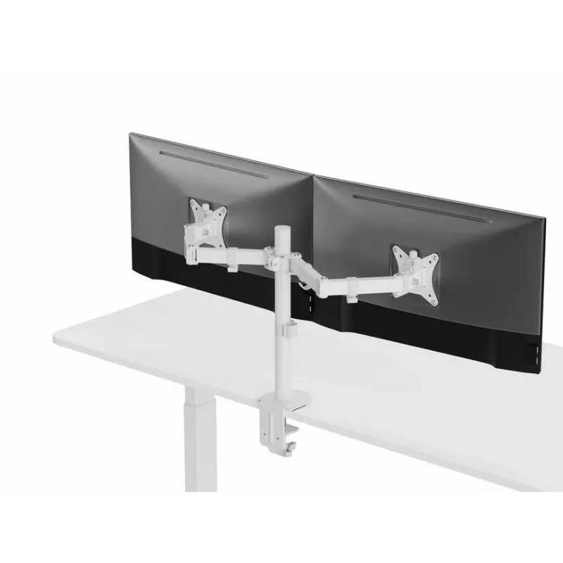 Equip 17 Zoll-32 Zoll verstellbare Dual-Monitor-Tischhalterung, Weiß