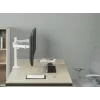 Equip 17 Zoll-32 Zoll verstellbare Dual-Monitor-Tischhalterung, Weiß