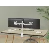 Equip 17 Zoll-32 Zoll verstellbare Dual-Monitor-Tischhalterung, Weiß
