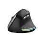 Trust Bayo Maus Medical für Rechtshänder RF Wireless Optisch 2400 DPI