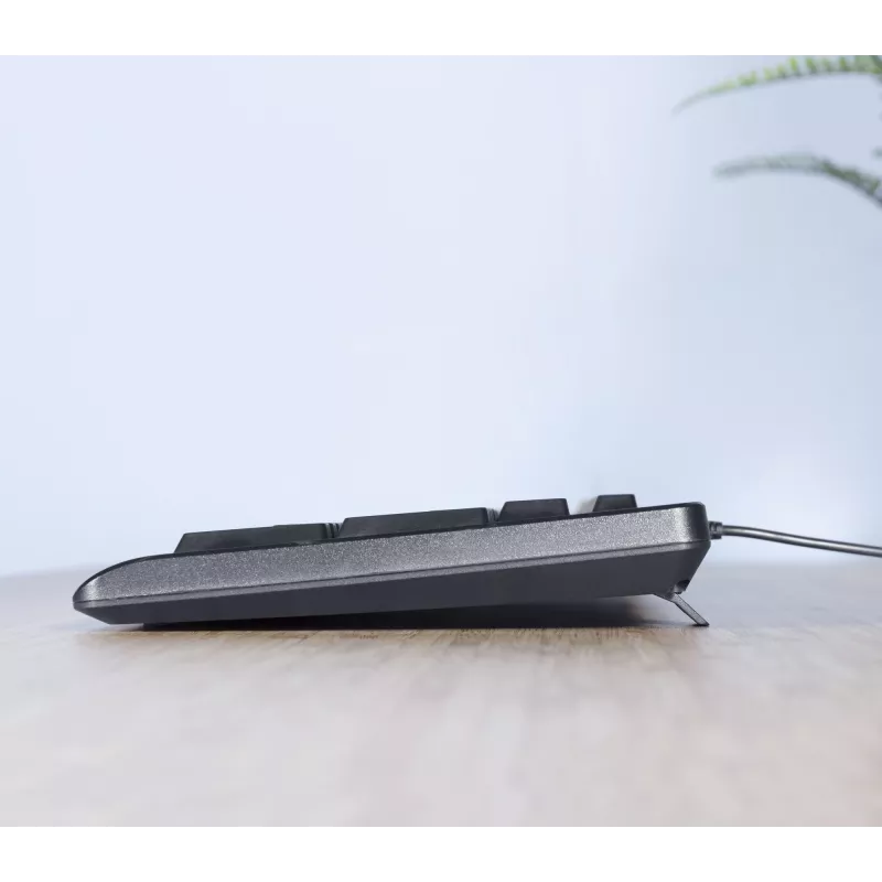 Trust TKM-250 Tastatur Maus enthalten Büro USB QWERTZ Deutsch Schwarz