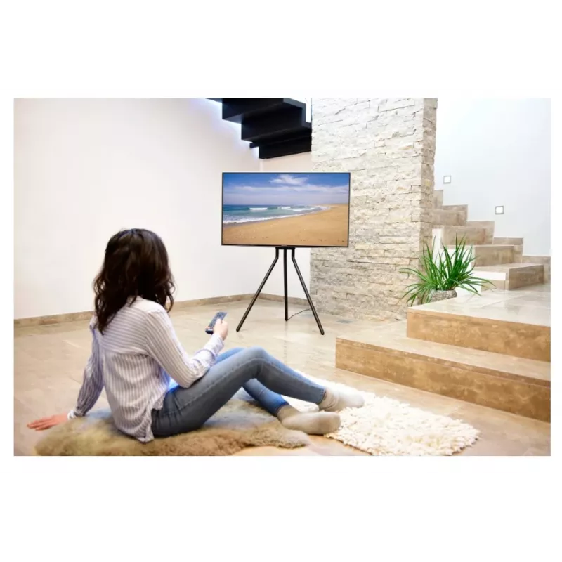Hama 00220870 TV-Ständer/Standfuß 190,5 cm (75 Zoll) Schwarz